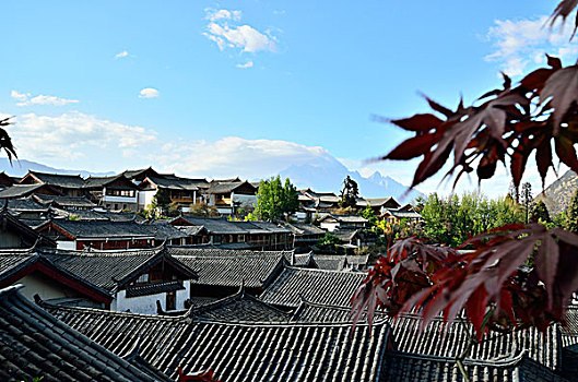 diễn đàn xổ số