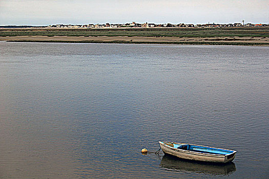 lô hôm nay về con gì