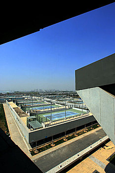 cau lo bach thu khung 5 ngay