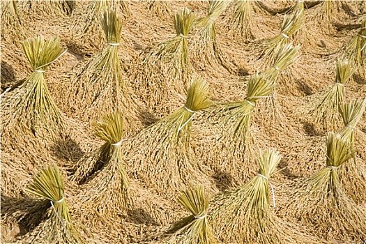 kết quả đặc biệt theo tuần