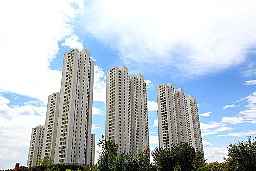 soi cau 2 nhay rong bach kim