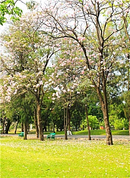 soi cầu dự đoán miền nam