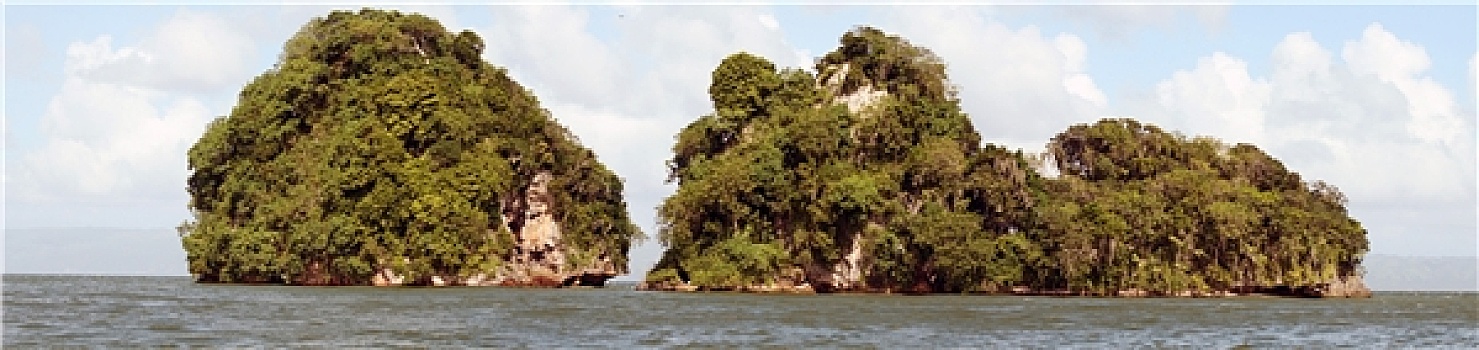 bạch thu mb