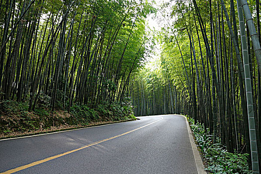 soi cau lo kep ngay hom nay