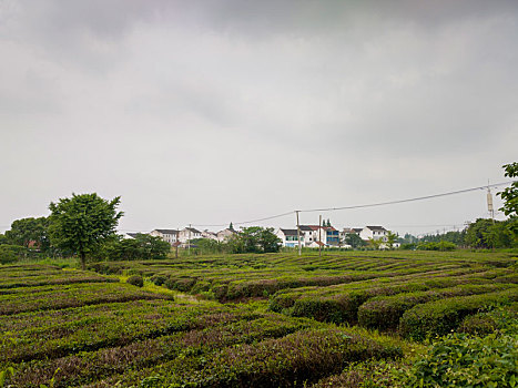 dự đoán số đề