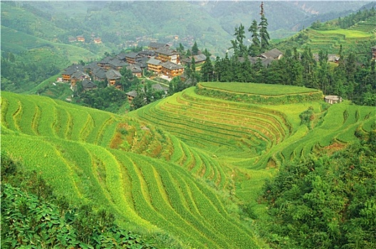 soi cầu miền bắc 24h
