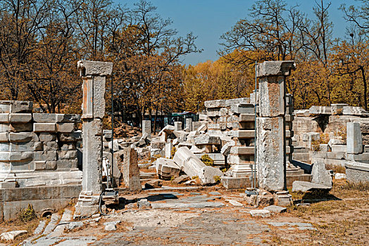 soi câu miễn phí