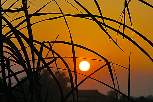 xo so miễn bác hom nay