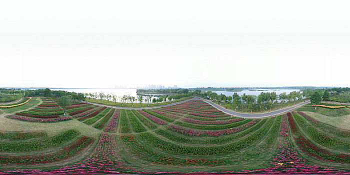 quay xổ số trực tiếp