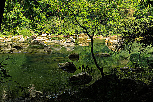 minh ngoc new