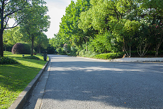soi cau 2 nhay rong bach kim