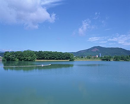 rong vang bach kim