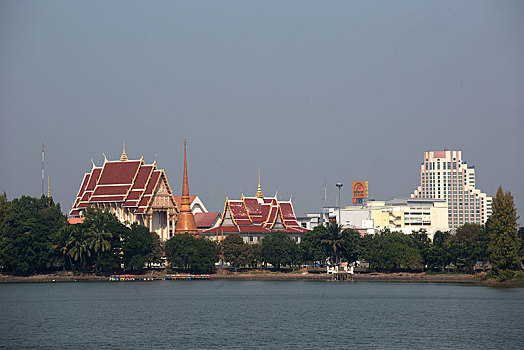 soi cau loto rong bach kim