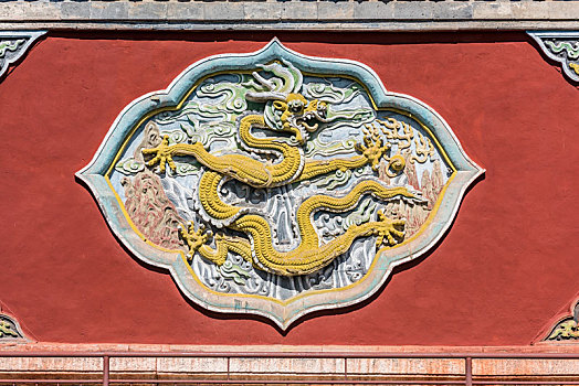 soi câu bạch kim