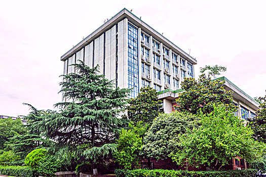 soi cầu xổ số long an