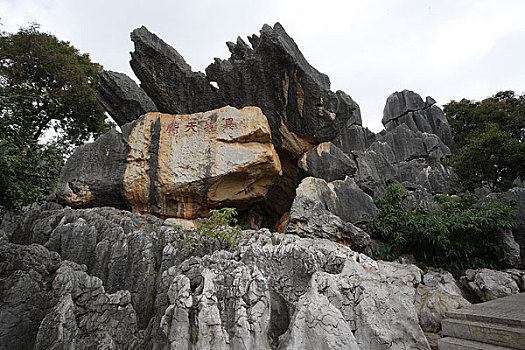 xs quang nam