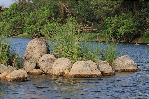 cầu bạch thủ mb
