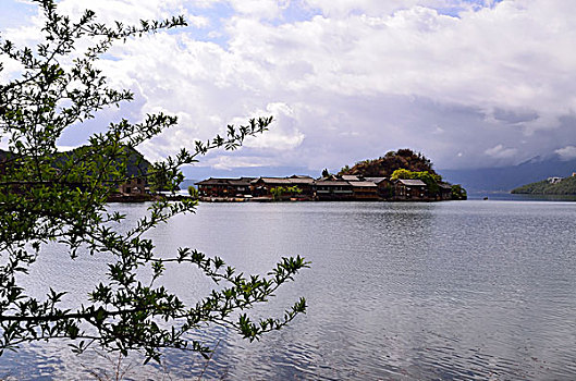 dự đoán cầu lô