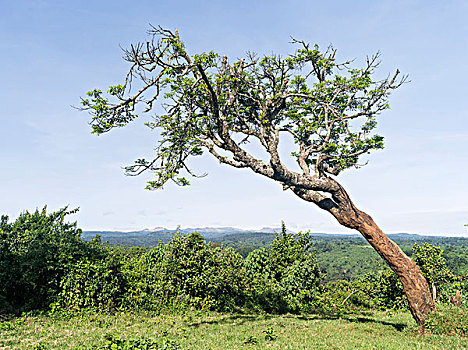 soi cầu chốt số