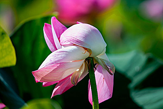 xổ số miền nam ba đài hôm nay