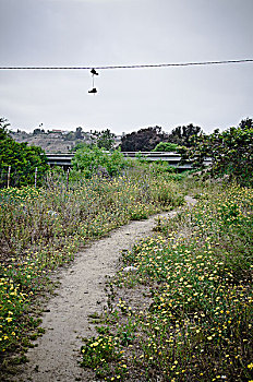 soi cầu bạch thủ lô