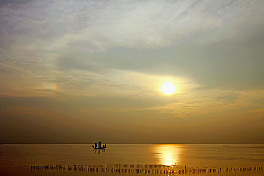 soicau bachthu 247
