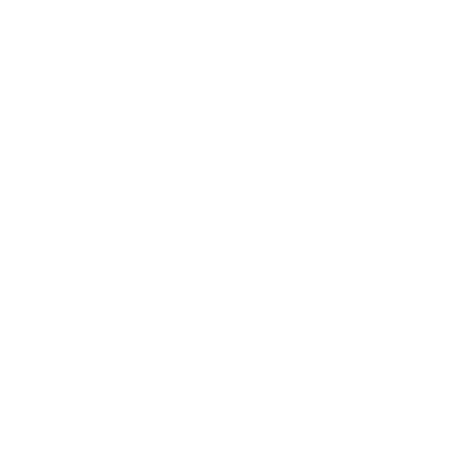 Audience Choice Winners